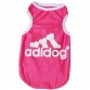 Hoodie Style Cotton Doggie Jackets in Assoterd Colors