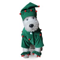 Doggie Wizard Halloween Costume 