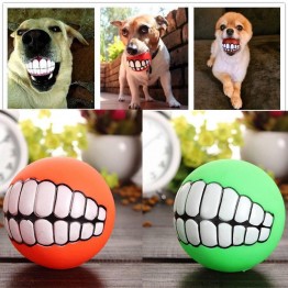 Funny Teeth Doggie Toy 