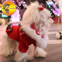 Christmas Themed Doggie Parka