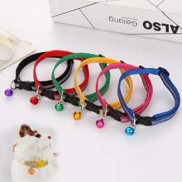 Reflective Collar in 6 Assorted Colors 