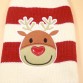  Assorted Christmas Doggie Sweaters with Hoodie  in 2 designs