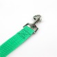 Nylon Training Leash in Assorted Colors