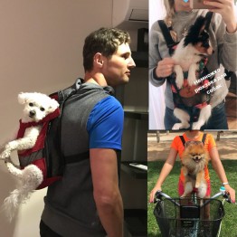 "Backpack Style" Doggie Carrier