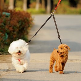"WALK TWO DOGS"  Leash 
