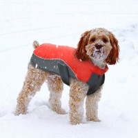 Waterproof Refelective Warm Doggie  Jacket 
